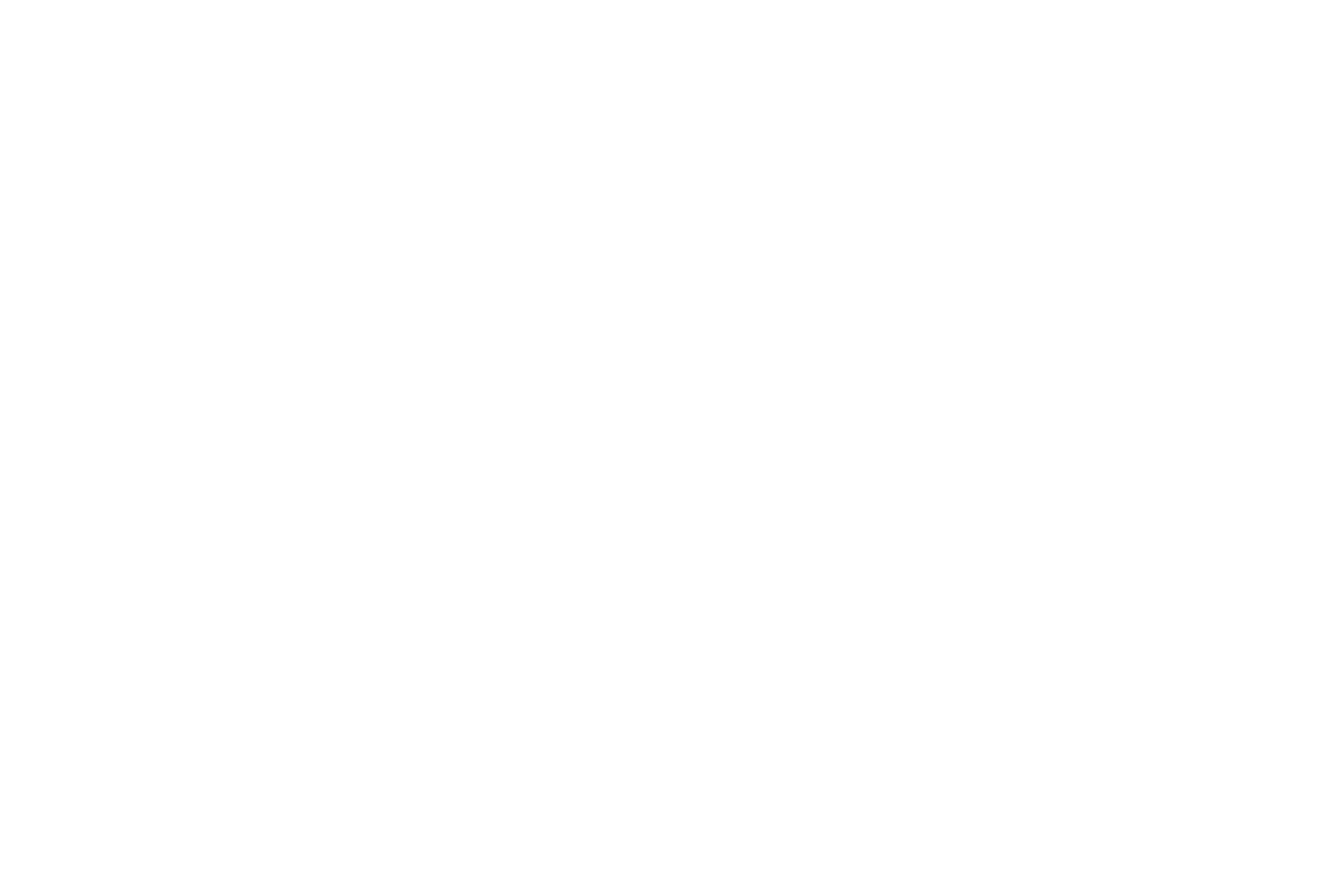 VisiumCare Logo